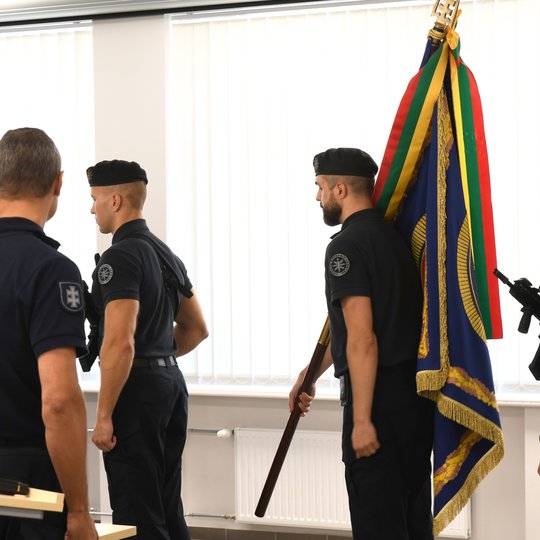 VILNIAUS DALINIUI 31!