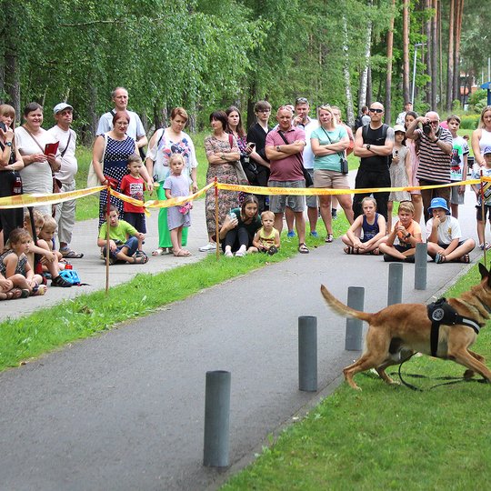 Visagino dalinys dalyvavo miesto šventėje ir pratybose