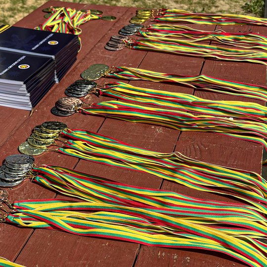 Jaunasis viešojo saugumo gynėjas 2024