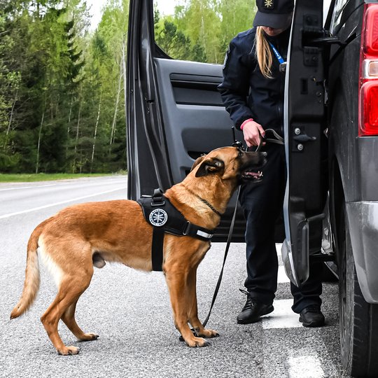 Viešojo saugumo tarnybos Visagino dalinio taikos meto užduočių pratybos