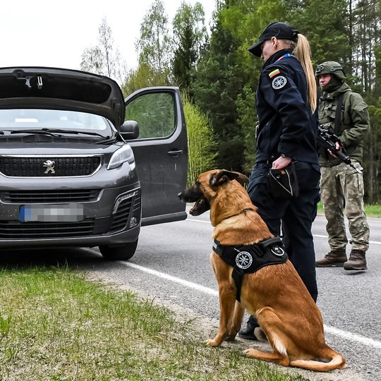 Viešojo saugumo tarnybos Visagino dalinio taikos meto užduočių pratybos