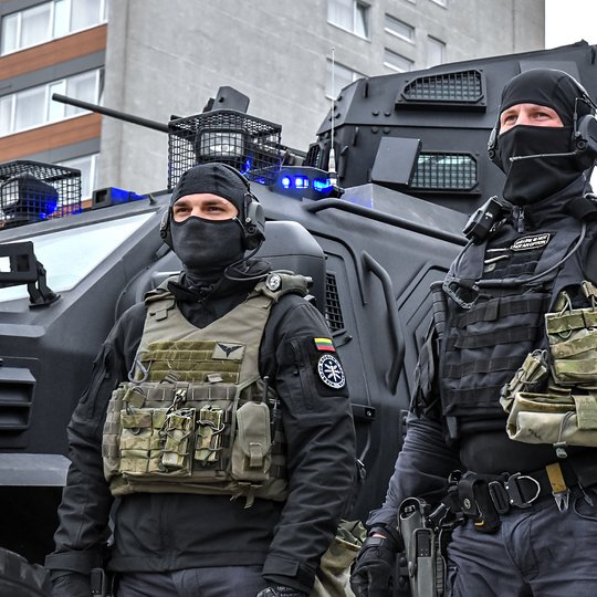 Partizanų pagerbimo, visuomenės ir kariuomenės vienybės šventė Marijampolėje