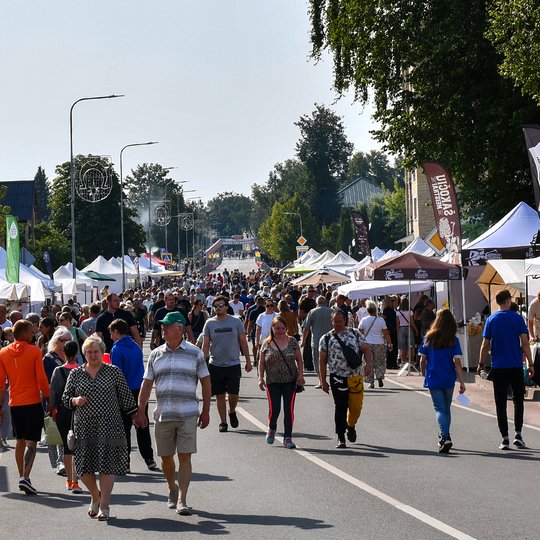 Viešojo saugumo tarnyba