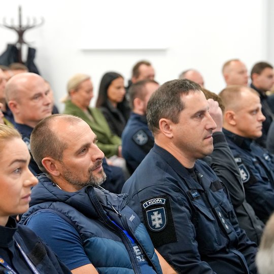 Vilniaus daliniui – 33!