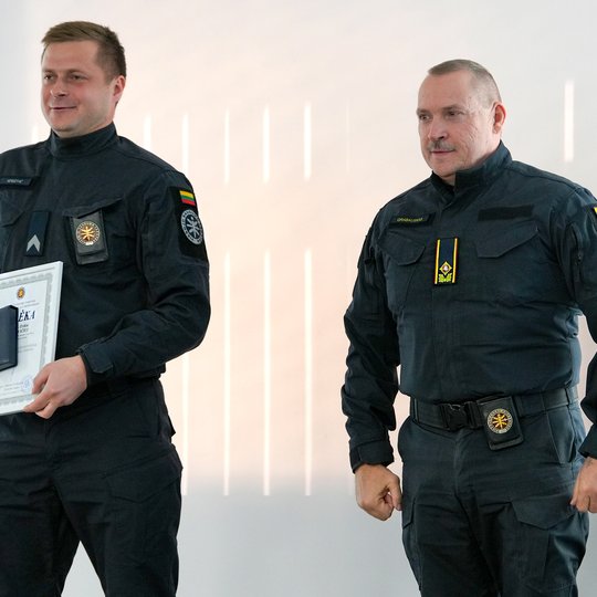 Vilniaus daliniui – 33!