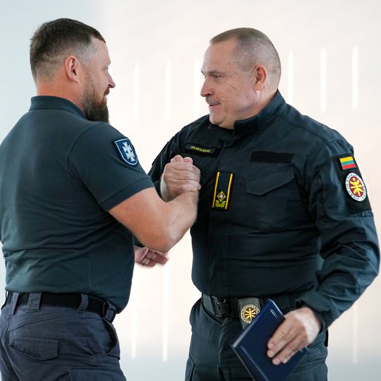Vilniaus daliniui – 33!