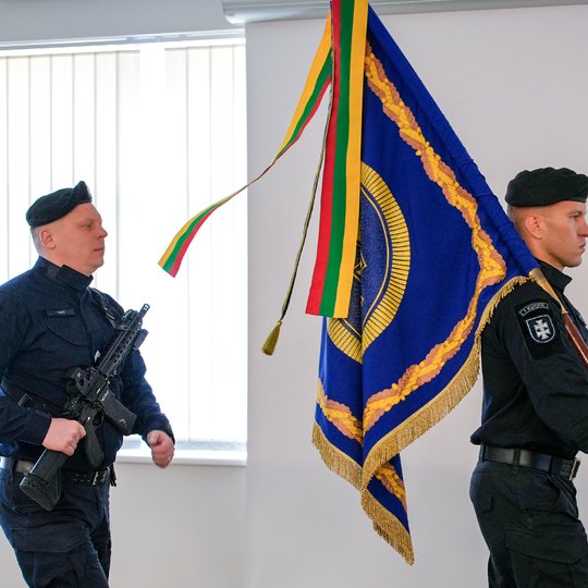 Vilniaus daliniui – 33!